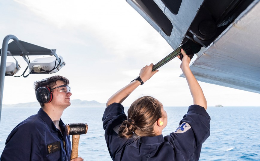 navy marine technician landscape